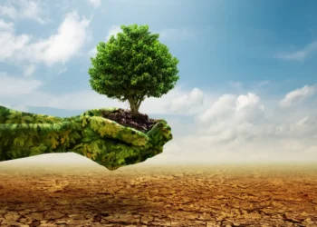 green hand holding tree growing