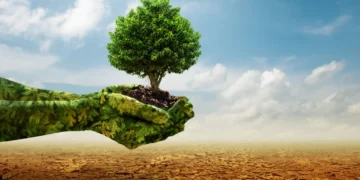 green hand holding tree growing