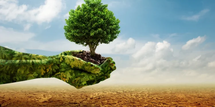 green hand holding tree growing