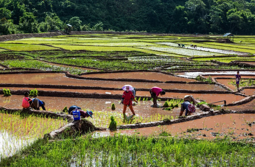 people working in the nature