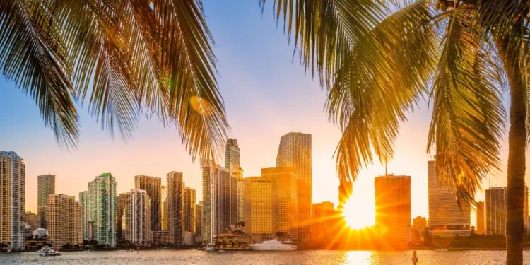 miami florida skyline sunbeams
